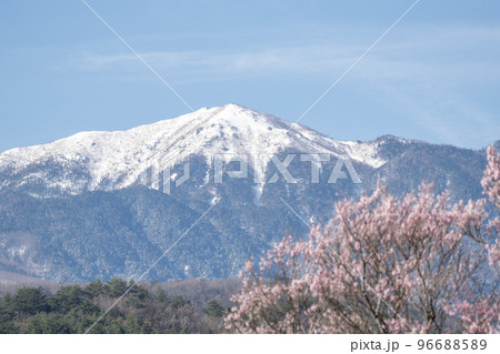 桜と甲斐駒ヶ岳 山梨県 桜と甲斐駒ヶ岳 山梨県 96688589