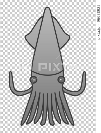 魷魚(黑色) 魷魚(黑色) 96688922