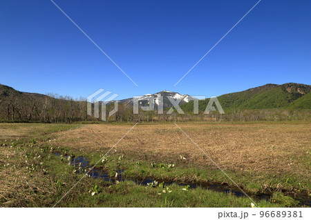 [定額] 尾瀬ヶ原からの至仏山と水芭蕉 ( 2021年5月 ) 96689381