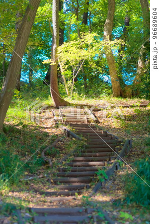 明るい山道（登りの木製階段） 96689604