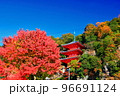 紅葉と三重塔 96691124