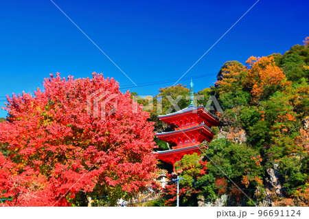 紅葉と三重塔 96691124