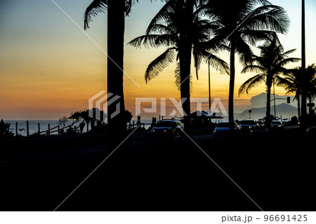 Rio de Janeiro beach at sunset. silhouettes of palm trees Rio de Janeiro beach at sunset. silhouettes of palm trees 96691425