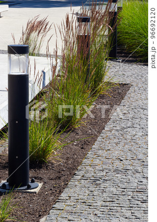 flower beds with ornamental grasses are attractive from autumn to winter and thanks to dry flowers and leaves. plants create a striking contrast 96692120