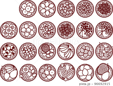 籠入り果物上L 96692915