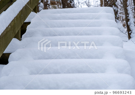 Wooden stairs with snow, tourist trail in the forest. Gauja National Nature Park. Latvia. 96693243