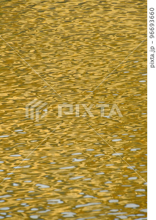 金色に輝く金閣寺 96693660