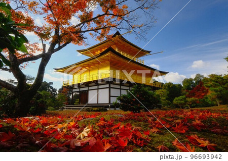 秋が燃える金閣寺 96693942