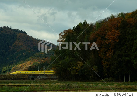秋の近江路を走るドクターイエロー （東海道新幹線 米原 - 岐阜羽島, 2022年11月） 96694413