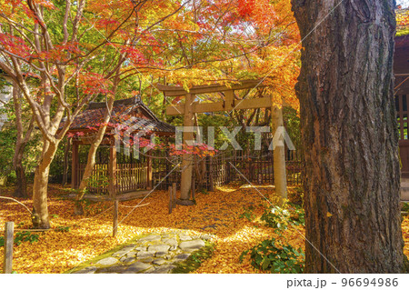 蓮華寺　紅葉が綺麗な境内（京都府京都市左京区） 96694986