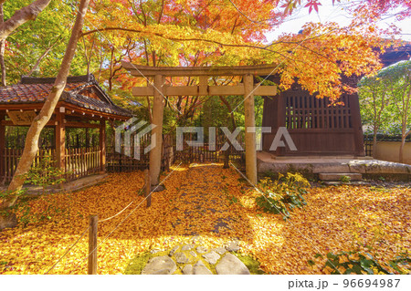 蓮華寺　紅葉が綺麗な境内（京都府京都市左京区） 96694987