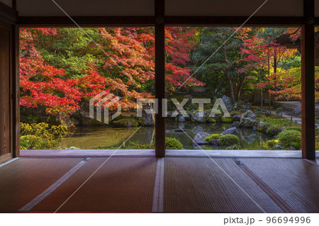 蓮華寺の紅葉　額縁庭園（京都府京都市左京区） 96694996