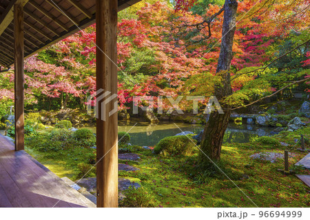 蓮華寺の紅葉　額縁庭園（京都府京都市左京区） 96694999