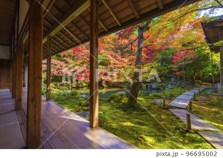 蓮華寺の紅葉 額縁庭園(京都府京都市左京区) 蓮華寺の紅葉 額縁庭園(京都府京都市左京区) 96695002