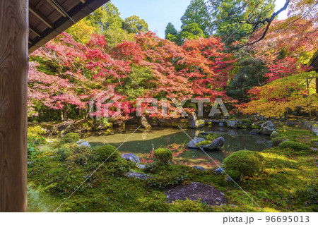 蓮華寺の紅葉　美しい庭園（京都府京都市左京区） 96695013