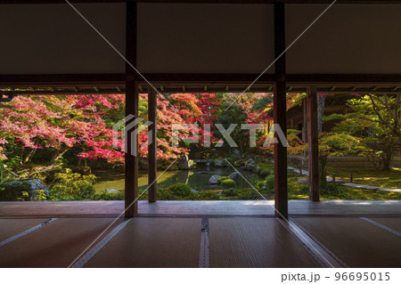 蓮華寺の紅葉　額縁庭園（京都府京都市左京区） 96695015