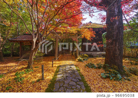 蓮華寺　紅葉が綺麗な境内（京都府京都市左京区） 96695038