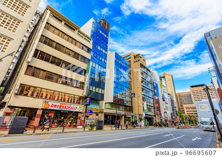 東京　千代田区　神田駿河台の都市風景　明大通り沿いの楽器店街 96695607