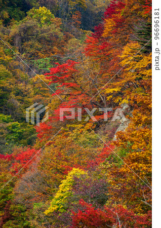 鳥崎八景_072 鳥崎八景_072 96696181