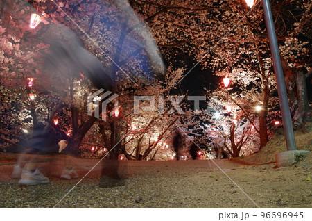 早島公園の夜桜 96696945