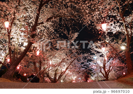 早島公園の夜桜 96697010