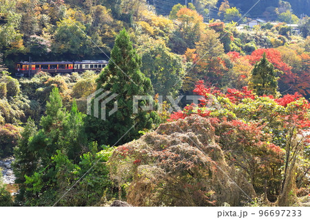 わたらせ渓谷鐵道「緑と赤色の木々際立つ景色を行く列車」 96697233