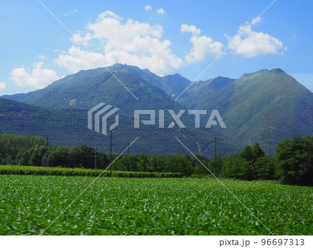 Alps and grassy field near Bellinzona city in Switzerland 96697313