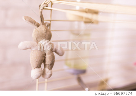 Beige rabbit doll in cage copy space - accessories and toys for pets and birds 96697574