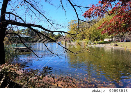 大宮公園 大宮公園内遺跡 舟遊池 大宮公園 大宮公園内遺跡 舟遊池 96698618
