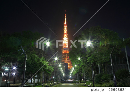 東京夜景　芝公園4号地 96698624