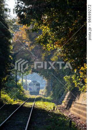 【北条鉄道】森のトンネルを抜ける列車 【北条鉄道】森のトンネルを抜ける列車 96699272