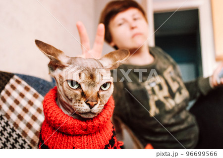 Bald cat in a warm red knitted vintage sweater in retro interior. Canadian Sphynx in pet clothes at cozy home. Space for text. Hairless animal indoors with a human Cat in christmas clothes Cold season Bald cat in a warm red knitted vintage sweater in retro interior. Canadian Sphynx in pet clothes at cozy home. Space for text. Hairless animal indoors with a human Cat in christmas clothes Cold season 96699566