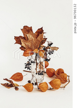 Twigs of orange physalis, wild grapes and autumn colorful leaves in glass vase, light background 96700132
