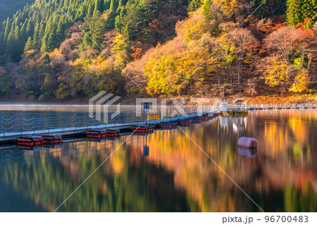 《東京都》秋の奥多摩湖・紅葉のドラム缶橋 96700483