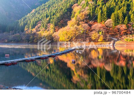 《東京都》秋の奥多摩湖・紅葉のドラム缶橋 96700484