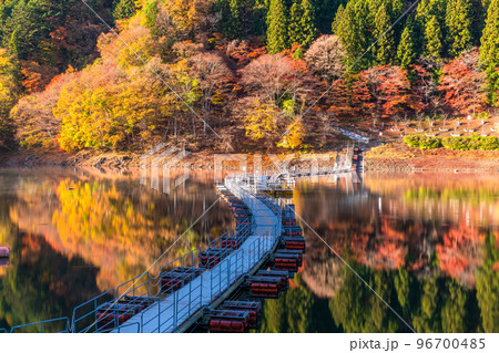 《東京都》秋の奥多摩湖・紅葉のドラム缶橋 96700485
