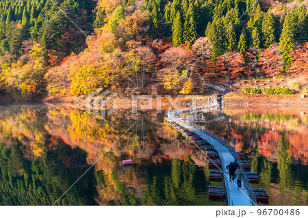 《東京都》秋の奥多摩湖・紅葉のドラム缶橋 《東京都》秋の奥多摩湖・紅葉のドラム缶橋 96700486