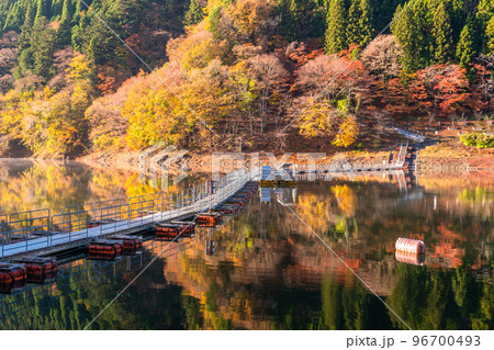 《東京都》秋の奥多摩湖・紅葉のドラム缶橋 《東京都》秋の奥多摩湖・紅葉のドラム缶橋 96700493