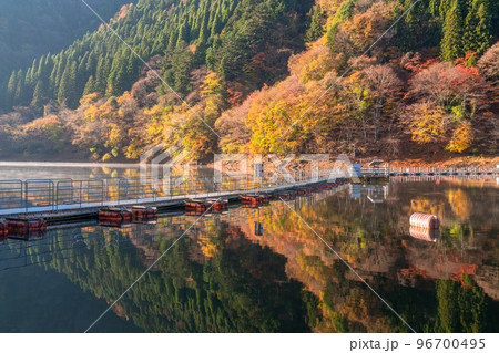 《東京都》秋の奥多摩湖・紅葉のドラム缶橋 96700495