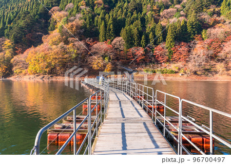 《東京都》秋の奥多摩湖・紅葉のドラム缶橋 96700497