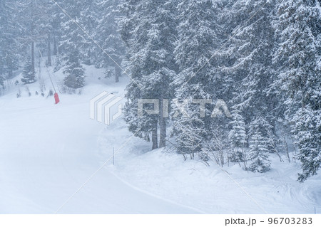 Winter snow storm at a ski resort. Grey and overcast day, with a snow covered trees. Winter snow storm at a ski resort. Grey and overcast day, with a snow covered trees. 96703283