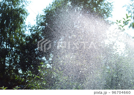 Water splashing out of water sprinkler. Fresh summer background. Waterdrops.  96704660
