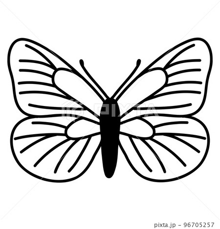 Hand drawn doodle butterfly. Vector sketch illustration, black outline art of insect for web design, icon, print, coloring page 96705257
