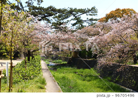 夙川公園 夙川公園 96705496