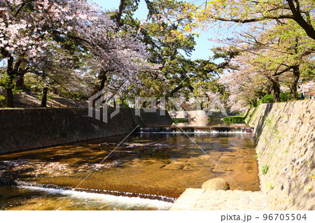夙川公園 夙川公園 96705504