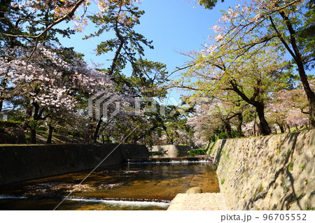 夙川公園 夙川公園 96705552