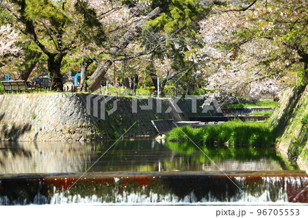 夙川公園 夙川公園 96705553