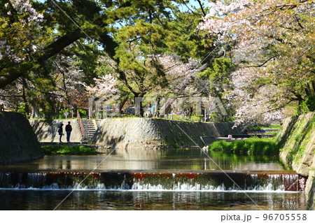 夙川公園 96705558