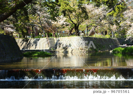 夙川公園 96705561