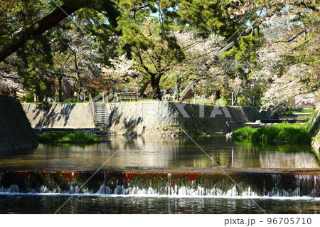 夙川公園 96705710